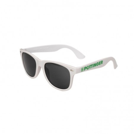 Okulary przeciwsłoneczne Pottinger 1